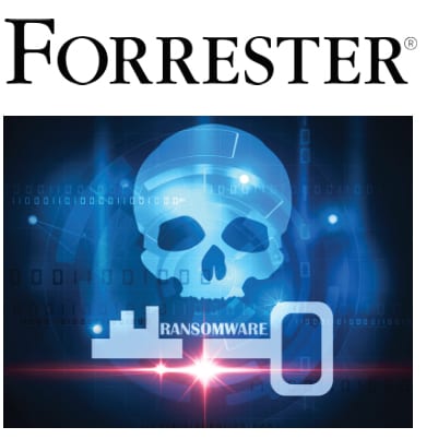 forrester report