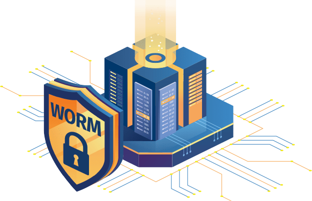 worm data lock