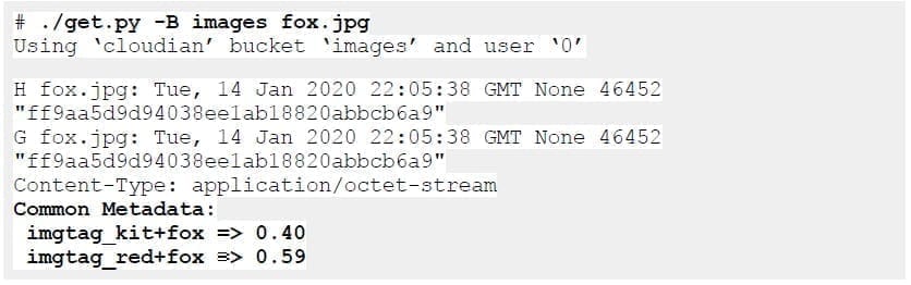 metadata output