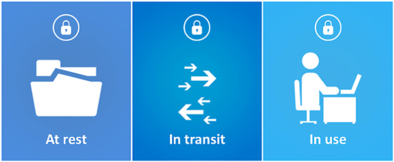 data at rest in transit in use