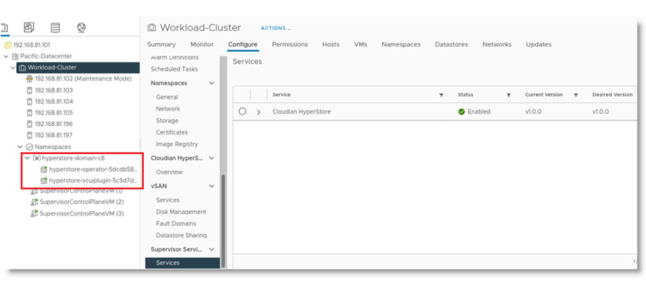 workload cluster